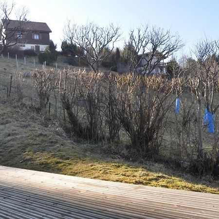 Mirabelle C8 Villa Xonrupt-Longemer Buitenkant foto
