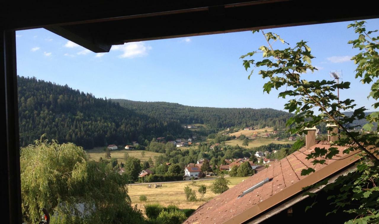 Mirabelle C8 Villa Xonrupt-Longemer Buitenkant foto