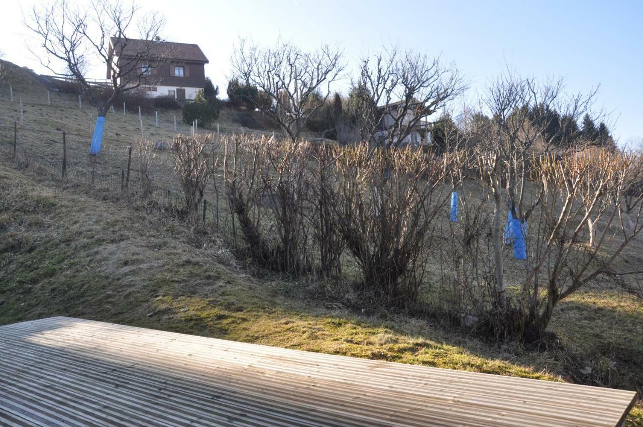 Mirabelle C8 Villa Xonrupt-Longemer Buitenkant foto
